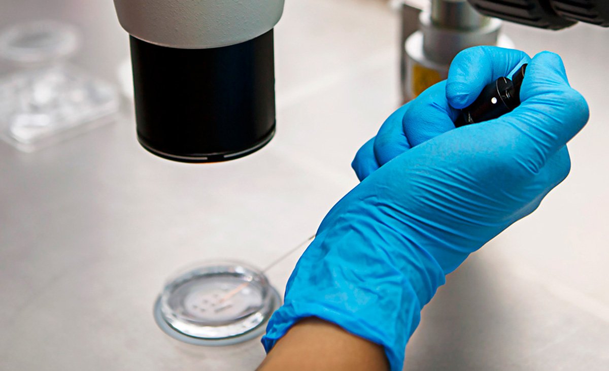 Azoospermia: Causas, Diagnóstico e Tratamento