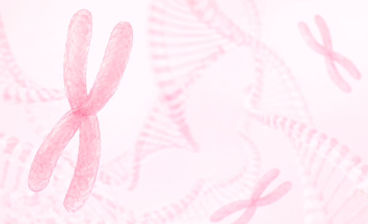 Cariótipo na Infertilidade: Como Interpretar?