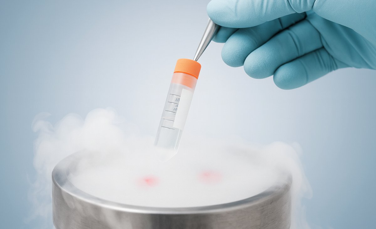 Congelamento De Embriões: Até Quando Podem Ser Usados?