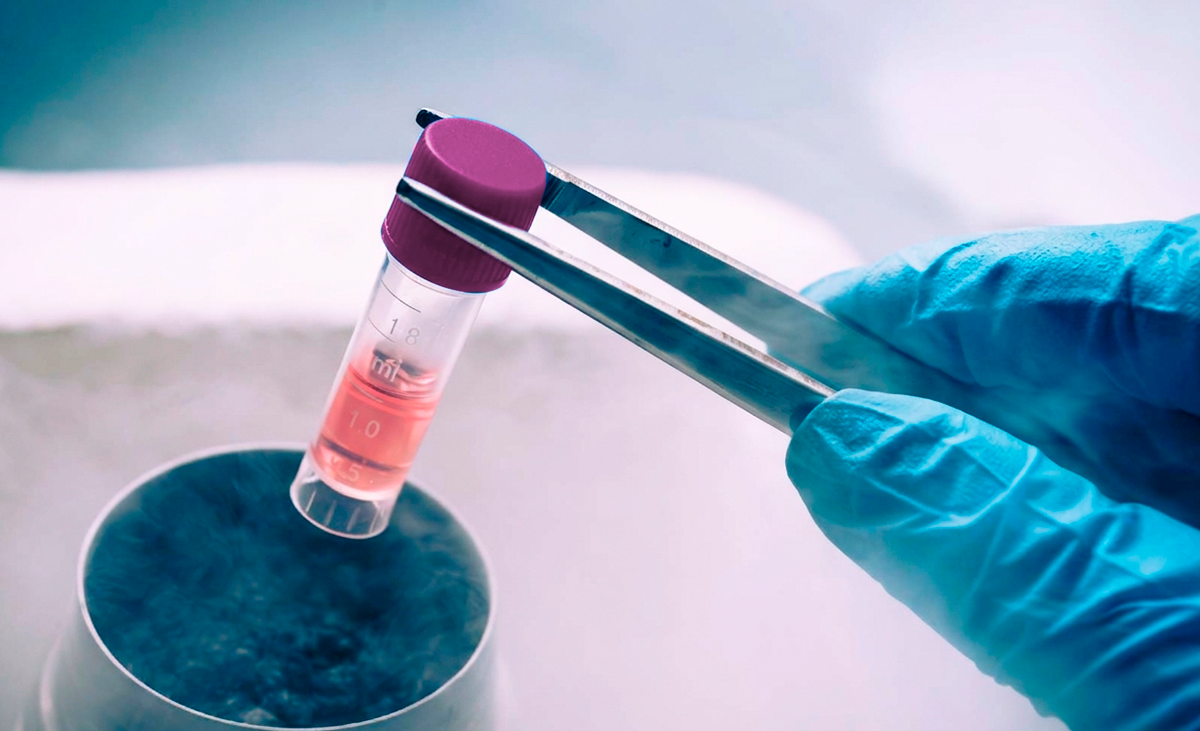 FIV com Óvulos Congelados em Outra Clínica: Pode?