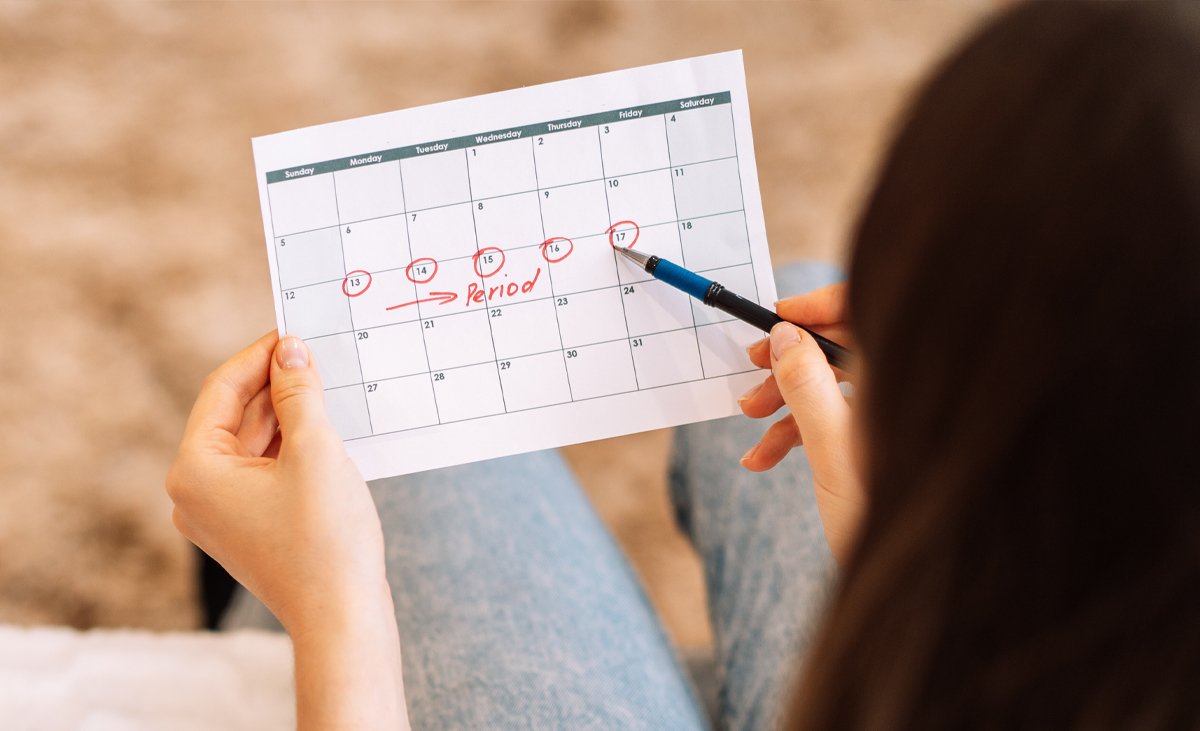 Posso Engravidar Quantos Dias Depois Da Menstruação?