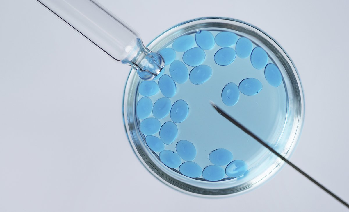 Quantos Embriões Transferir na FIV: Riscos e Benefícios