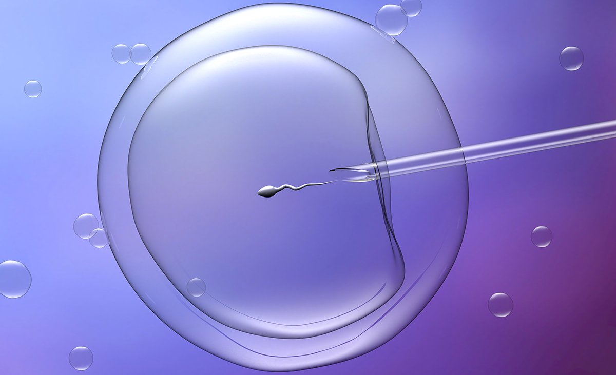 Taxa de Sucesso da Fertilização in Vitro (FIV)