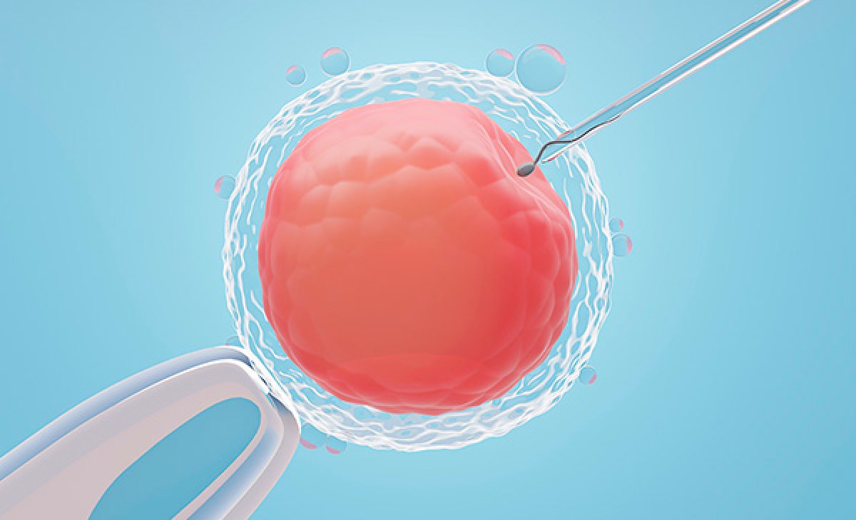 Tratamento de Fertilização