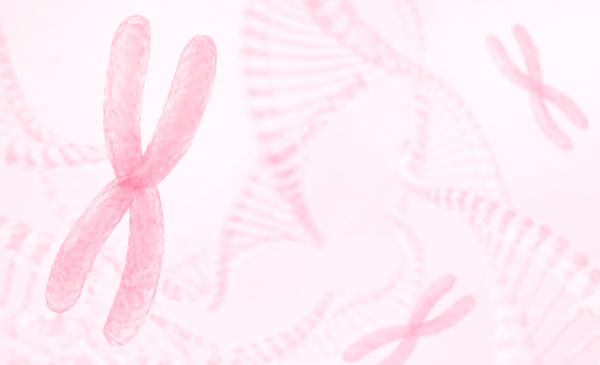 Cariótipo na Infertilidade: Como Interpretar?