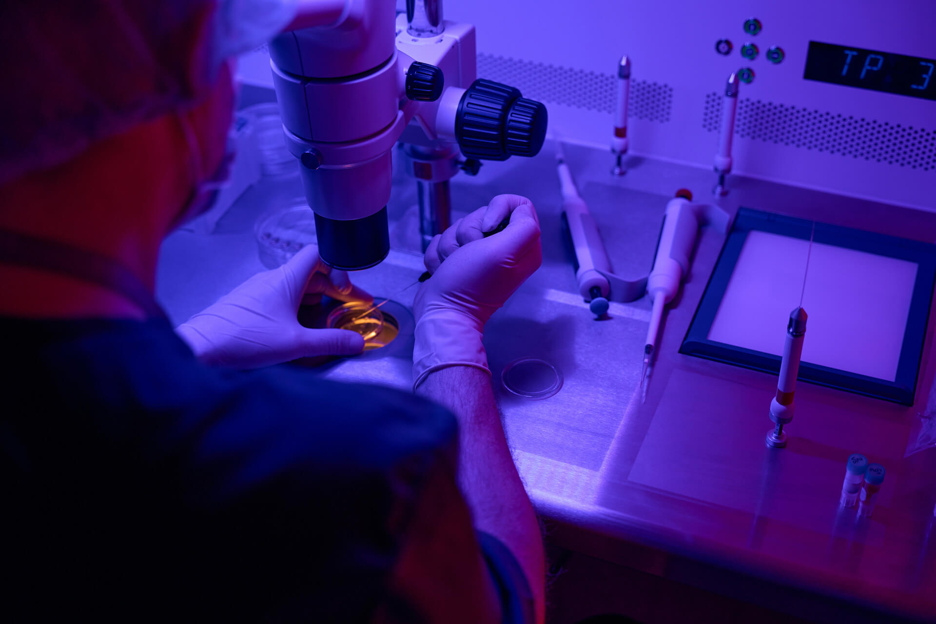 Fertilização in vitro (laboratório)